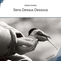 Sens Dessus Dessous