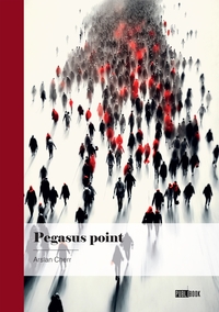 Pegasus point