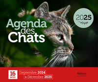 AGENDA DES CHATS 2025