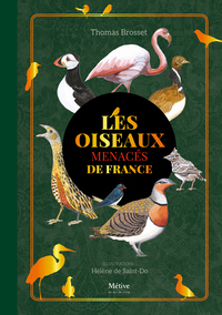 LES OISEAUX MENACES DE FRANCE