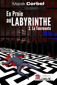 En proie au labyrinthe - Tome 2 La tourmente