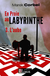 En proie au labyrinthe - Tome 3 L'aube