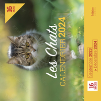 Calendrier 2024 - Chats