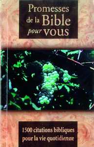 PROMESSES DE LA BIBLE POUR VOUS