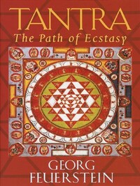 TANTRA THE PATH OF ECSTASY /ANGLAIS