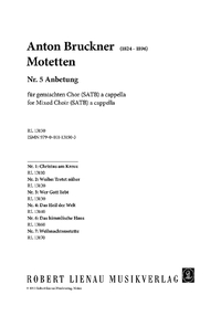 Motetten