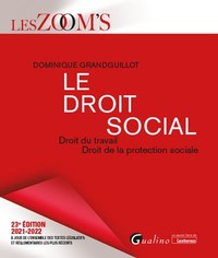 LE DROIT SOCIAL - DROIT DU TRAVAIL - DROIT DE LA PROTECTION SOCIALE
