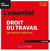 L'ESSENTIEL DU DROIT DU TRAVAIL : LES RELATIONS COLLECTIVES - UNE PRESENTATION COMPLETE DU DROIT DES