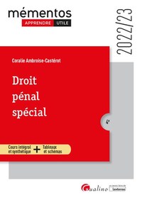 DROIT PENAL SPECIAL - INFRACTIONS CONTRE LES PERSONNES - INFRACTIONS CONTRE LES BIENS - ATTEINTES AU