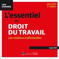 L'ESSENTIEL DU DROIT DU TRAVAIL : LES RELATIONS INDIVIDUELLES - UNE PRESENTATION COMPLETE ET A JOUR