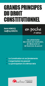 GRANDS PRINCIPES DU DROIT CONSTITUTIONNEL, 2EME EDITION - UNE PRESENTATION DES NOTIONS DE CONSTITUTI