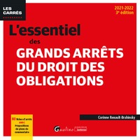 L'ESSENTIEL DES GRANDS ARRETS DU DROIT DES OBLIGATIONS - 80 FICHES D'ARRETS AVEC PROPOSITIONS DE PLA