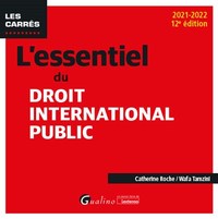 L'ESSENTIEL DU DROIT INTERNATIONAL PUBLIC