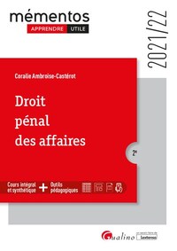 DROIT PENAL DES AFFAIRES - UNE PRESENTATION DES INFRACTIONS TRADITIONNELLEMENT CLASSEES SOUS LE VOCA