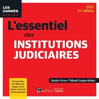 L'ESSENTIEL DES INSTITUTIONS JUDICIAIRES - UN PANORAMA DES DIFFERENTS ORGANES DE LA JUSTICE ET DE LE