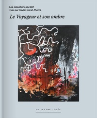 LE VOYAGEUR ET SON OMBRE - LES COLLECTIONS DU BAM (MUSEE DES BEAUX-ARTS DE MONS) VUES PAR XAVIER NOI