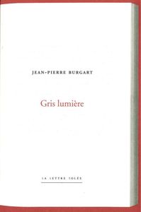 GRIS LUMIERE