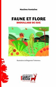 Brouillard de suie