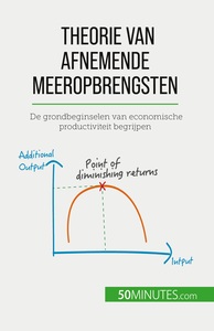 THEORIE VAN AFNEMENDE MEEROPBRENGSTEN - DE GRONDBEGINSELEN VAN ECONOMISCHE PRODUCTIVITEIT BEGRIJPEN