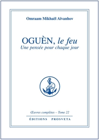 OGUEN, LE FEU  - TOME 22