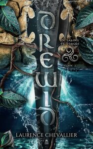 Drewid - De larmes et d'argile, Tome 3