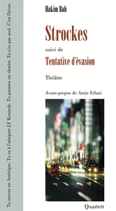 STROCKES - SUIVI DE TENTATIVE D'EVASION