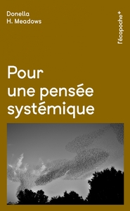 POUR UNE PENSEE SYSTEMIQUE