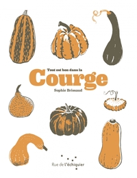 TOUT EST BON DANS LA COURGE