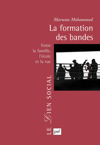 LA FORMATION DES BANDES - ENTRE LA FAMILLE, L'ECOLE ET LA RUE