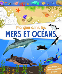 PLONGEE DANS LES MERS ET OCEANS