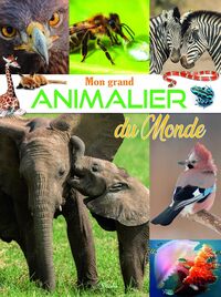 MON GRAND ANIMALIER DU MONDE