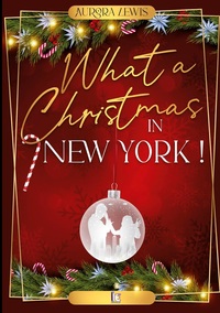 What a christmas in New York