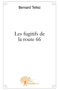 Les fugitifs de la route 66