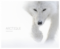 ARCTIQUE