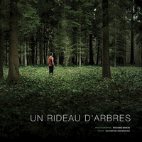 Un Rideau D'Arbres