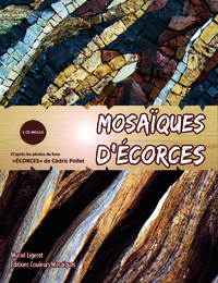 MOSAÏQUES D'ECORCES