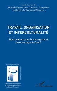 TRAVAIL, ORGANISATION ET INTERCULTURALITE - QUELS ENJEUX POUR LE MANAGEMENT DANS LES PAYS DU SUD ?