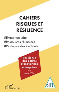 RESILIENCE DES PETITES ET MOYENNES ENTREPRISES - VOL62024