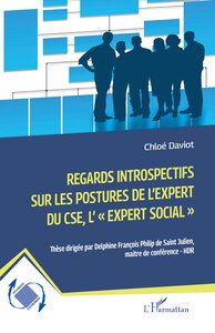 REGARDS INTROSPECTIFS SUR LES POSTURES DE L'EXPERT DU CSE, L'"EXPERT SOCIAL",