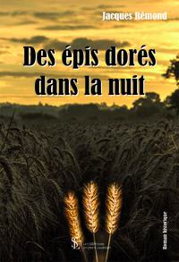 Des épis dorés dans la nuit