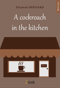 A cockroach in the kitchen