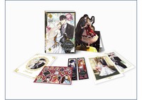 COMMENT RAELIANA A SURVECU AU MANOIR WYNKNIGHT - TOME 9 - COLLECTOR