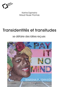 TRANSIDENTITES ET TRANSITUDES - SE DEFAIRE DES IDEES RECUES