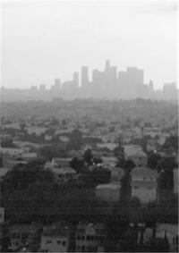 SESSHU FOSTER CITY TERRACE FIELD MANUAL (NEW EDITION) /ANGLAIS