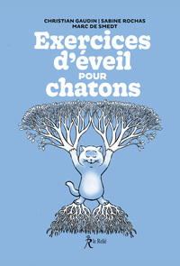 Exercices d'éveil pour chatons