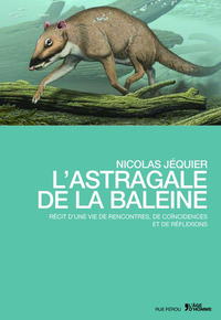 L'astragale de la baleine - récit d'une vie de rencontres, de coïncidences et de réflexion