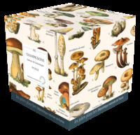 PUZZLE CHAMPIGNONS 1000 PIECES