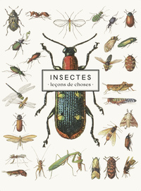 Carnet Insectes