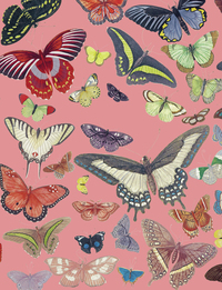 Petit carnet Papillons