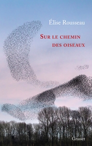 SUR LE CHEMIN DES OISEAUX - RECIT